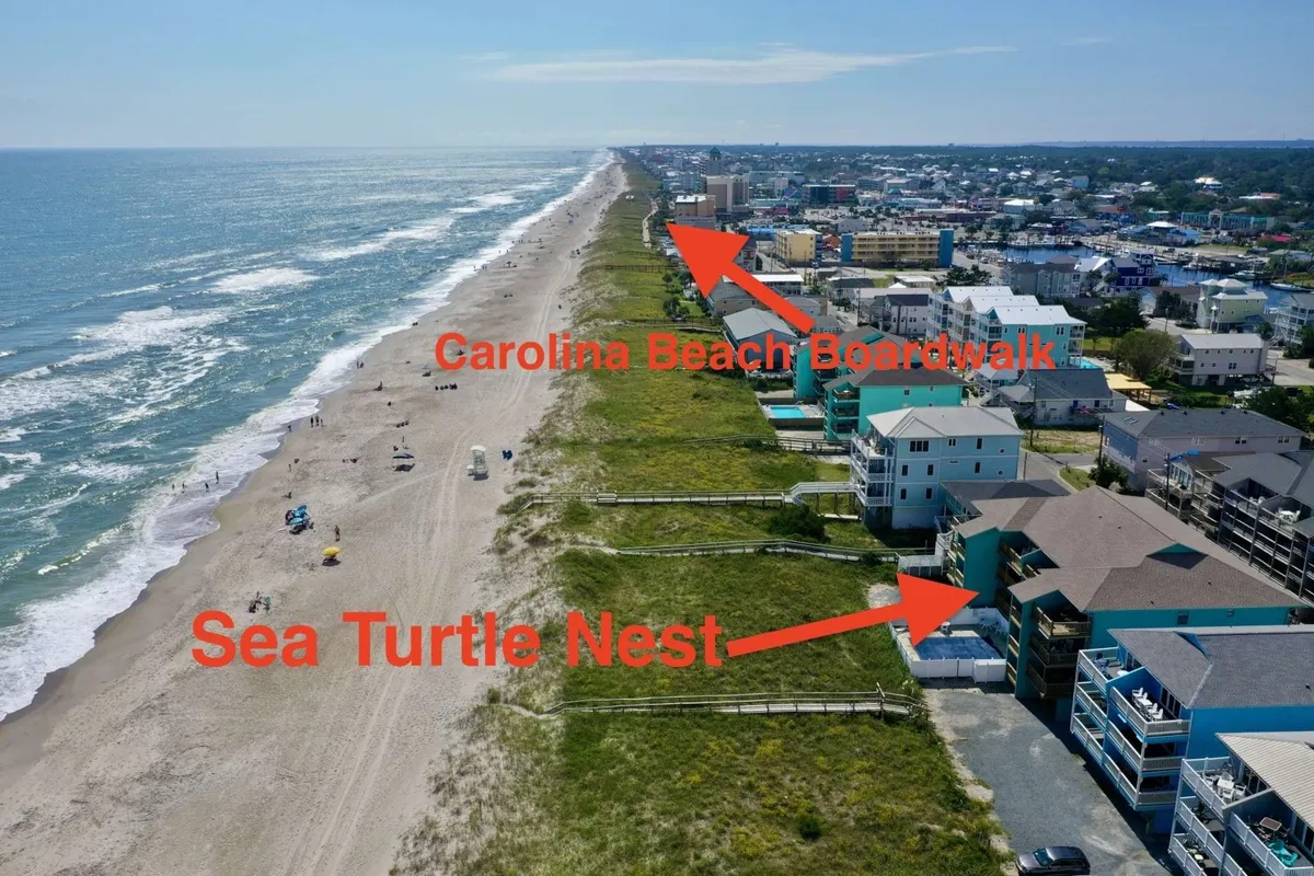 A wide view encompassing the Carolina Beach Boardwalk, Sea Turtle’s Nest property, the adjacent beach, and an expanse of ocean. The boardwalk’s vibrant atmosphere and local attractions are visible, highlighting both natural beauty and community excitement.