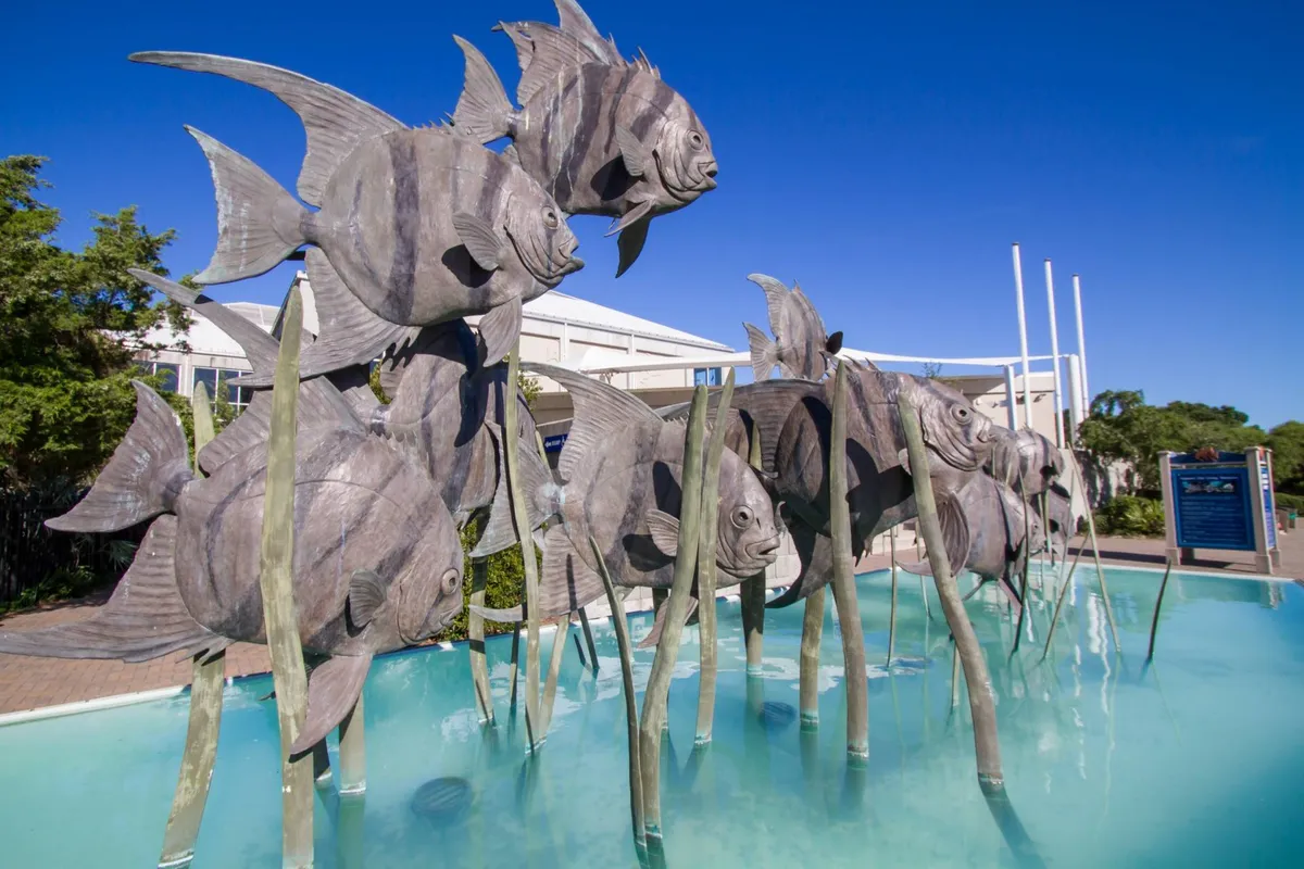 A playful exterior image featuring a clear, inviting community pool with a whimsical sculptural fish installation and lush greenery surrounding the area. The scene radiates a relaxed, resort-like atmosphere ideal for multi-generational enjoyment.
